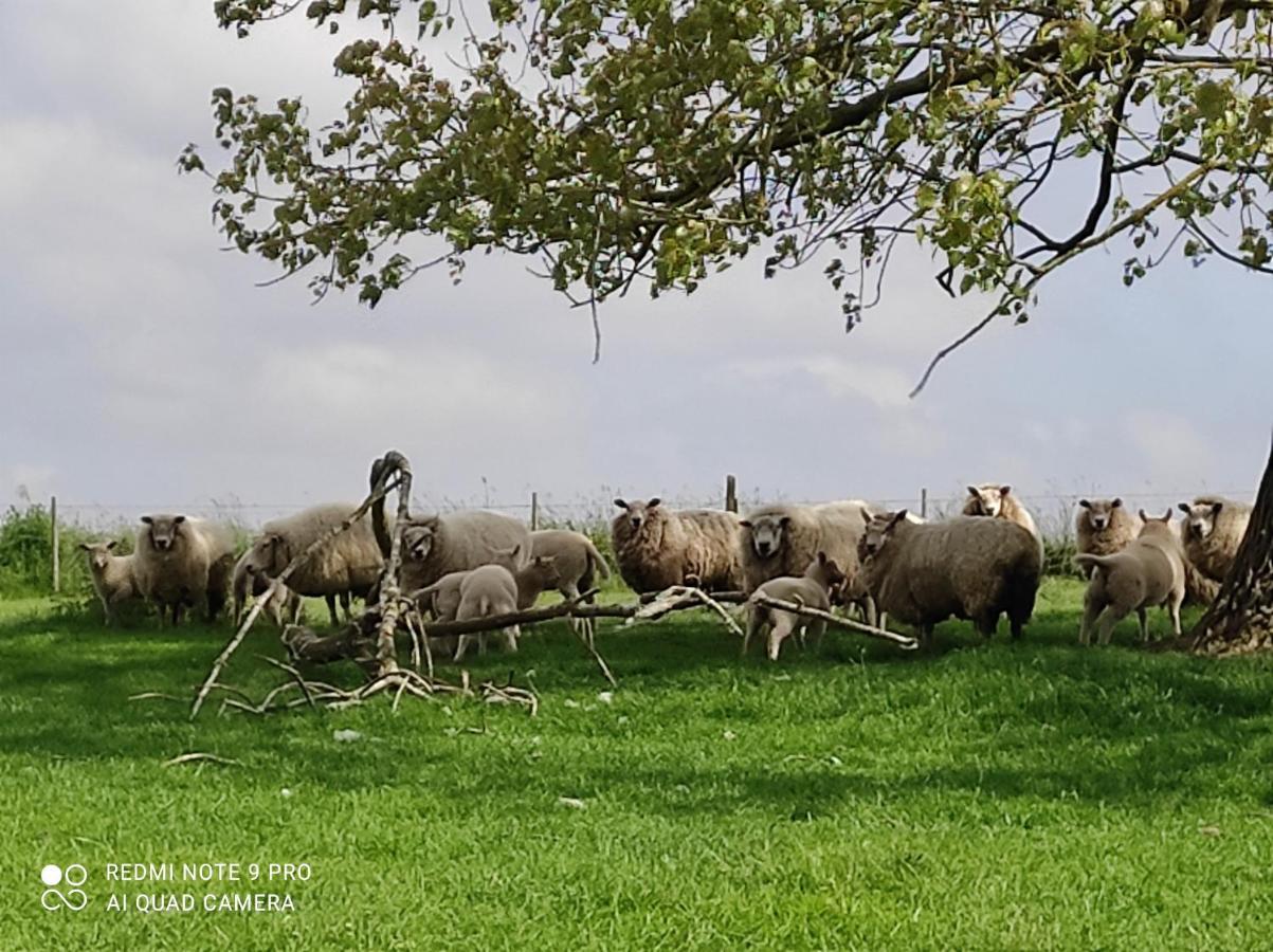La Bergerie Villa La Bruyere Bagian luar foto